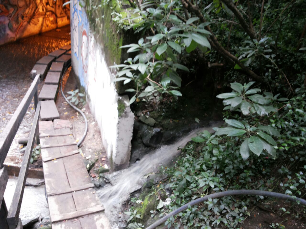 Quebrada la Vieja está siendo contaminada por aguas negras, denuncian vecinos