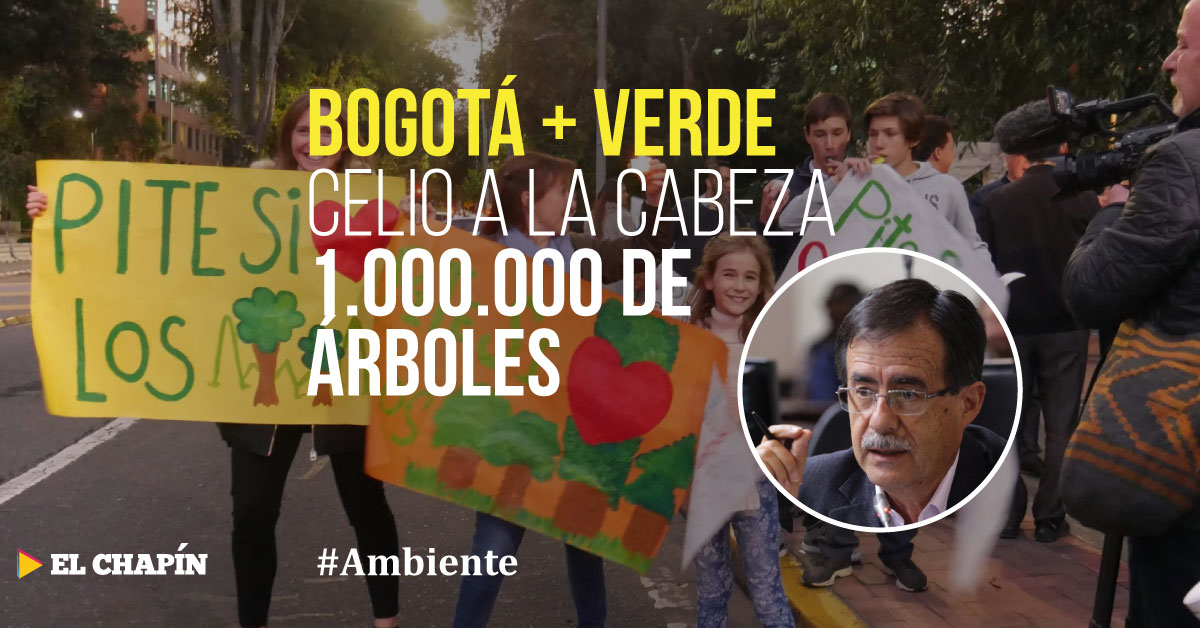 Estrategia Bogotá + verde 2030: 1.000.000 nuevos árboles??